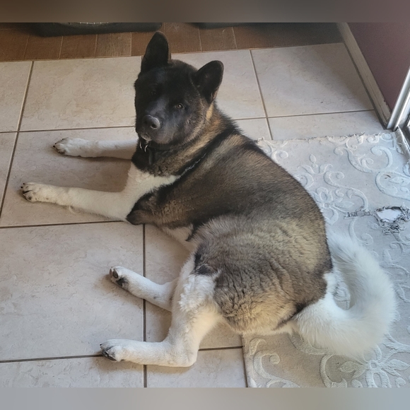 Meet your Posher, Diane - Picture 5 of 6